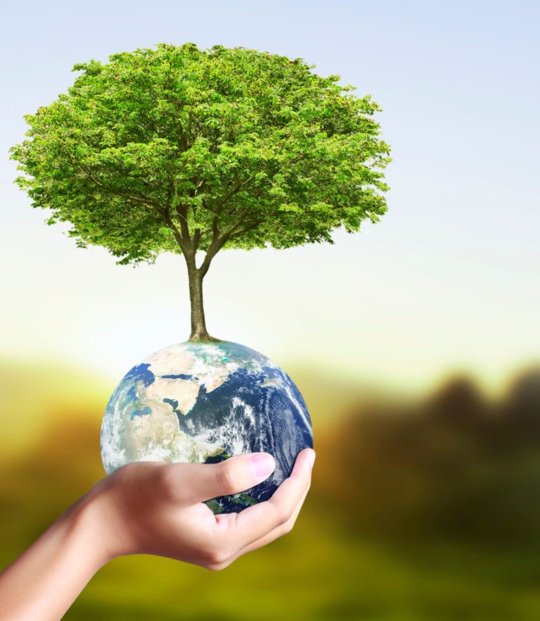 Journée mondial de l'environnement